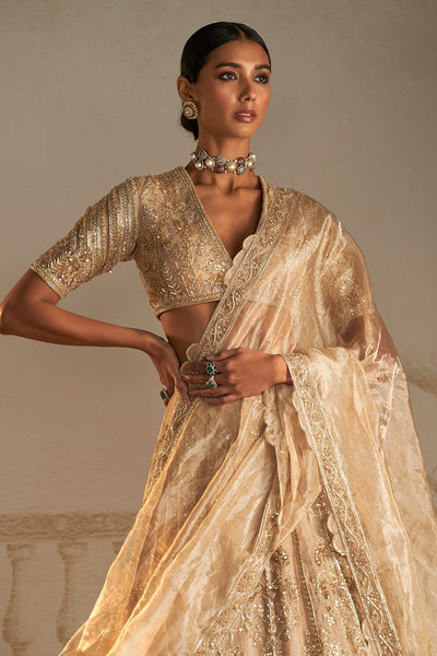 Swarn Lehenga Set-RTS