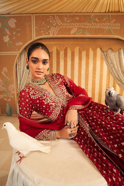 Pareesa Anarkali Set-RTS