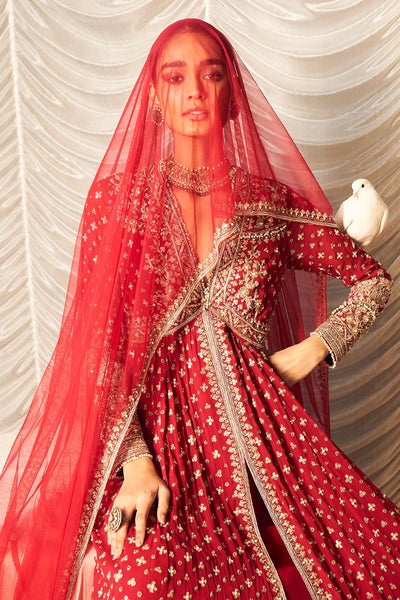 Pareesa Anarkali Set-RTS