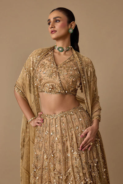 ENCHANTED LEHENGA SET