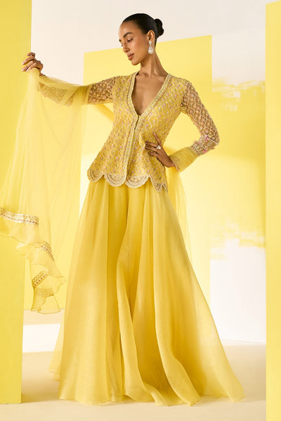 RM--Yellow Net Embroidered Peplum Sharara