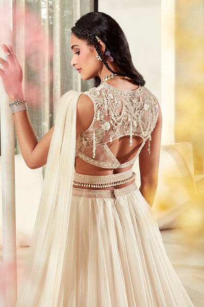 RM-Embroidered organza lehenga