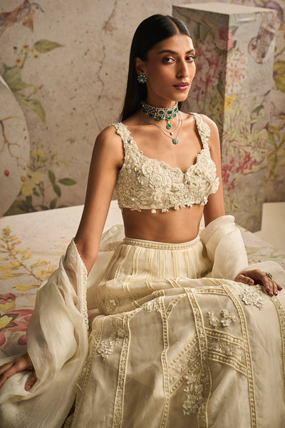 RM-Ivory Net Embroidered-Lehenga