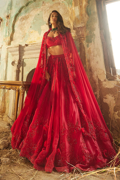 RM-Red Net Embroidered Lehenga