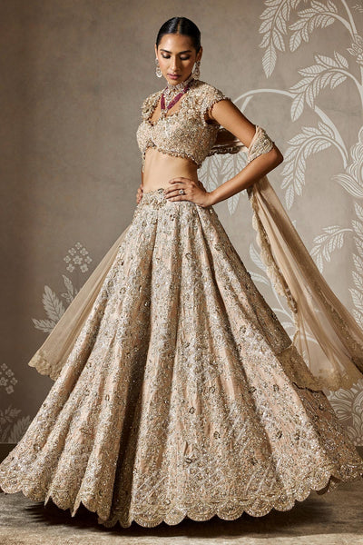 Ziva Lehenga Set