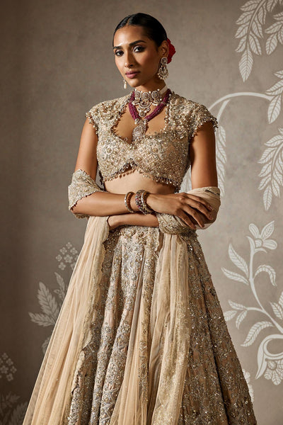 Ziva Lehenga Set