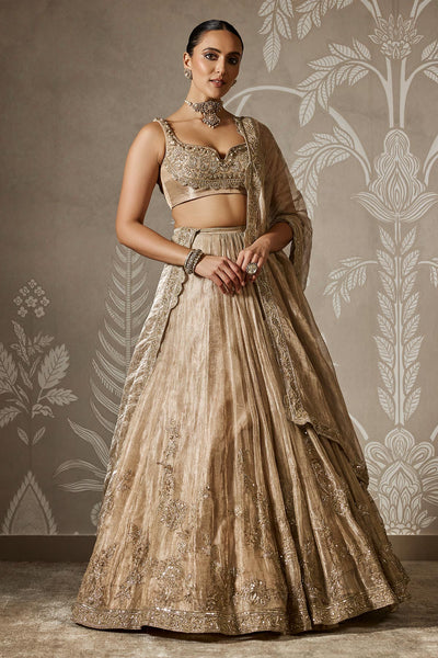 Arnika Lehenga Set