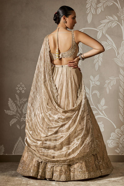Arnika Lehenga Set-RTS