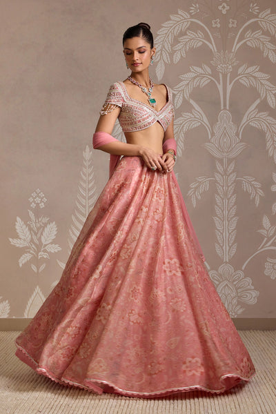 Flare Lehenga Set