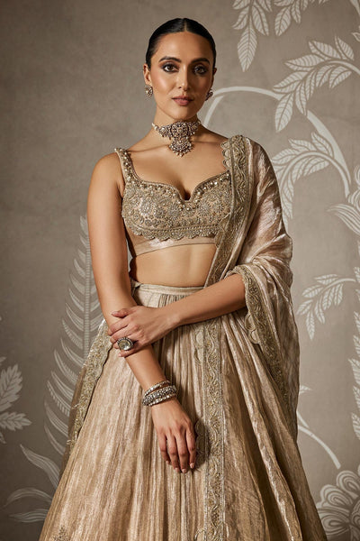 Arnika Lehenga Set-RTS
