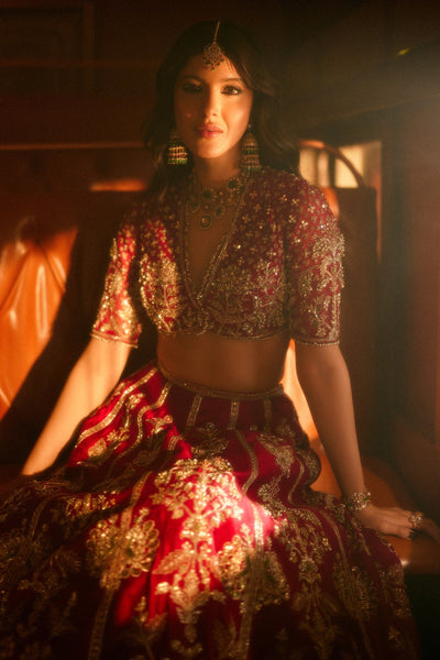 Shanno Lehenga Set-RTS