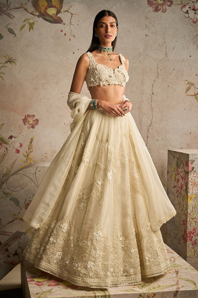 Ridhi-Mehra-Ivory Net Embroidered Lehenga