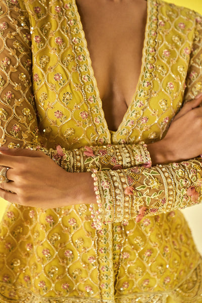 Ridhi-Mehra-Yellow Net Embroidered Peplum-Sharara