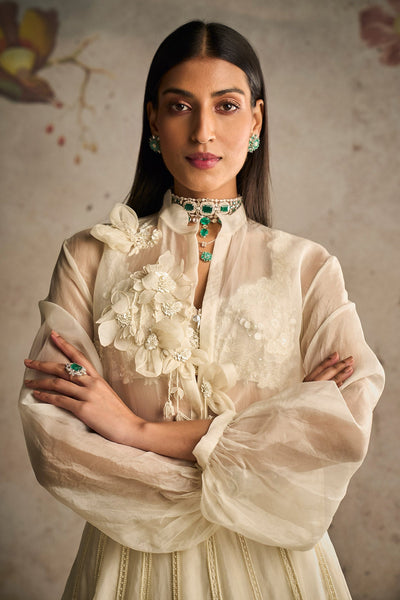 Ridhi-mehra-Ivory Net Embroidered Lehenga