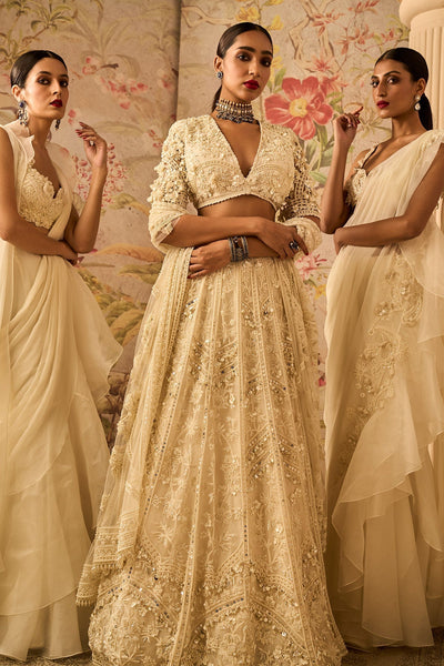 Dream Lehenga Set-RTS