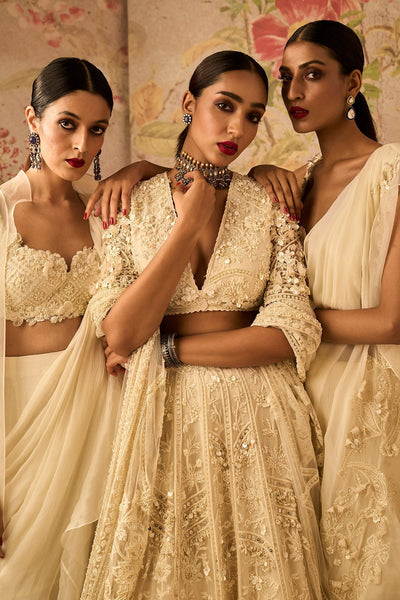 Dream Lehenga Set-RTS