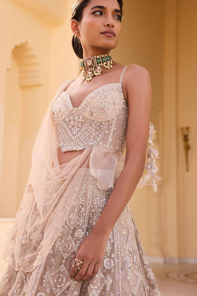 Gleam Lehenga Set