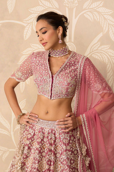 Serene Lehenga Set