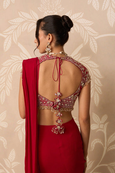 Dilruba Saree Set-RTS