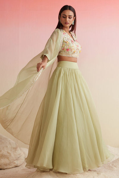 RIDHIMEHRA-MINT GREEN NET EMBROIDERED BLOUSE WITH PLAIN ORGANZA