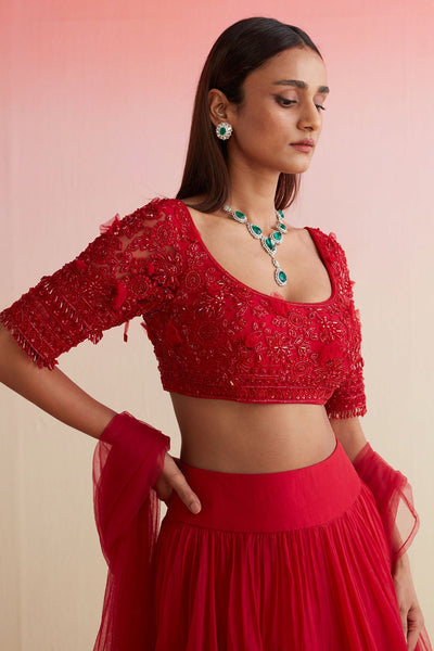 RIDHIMEHRA-RED EMBROIDERED NET BLOUSE PAIRED WITH PLAIN ORGANZA SKIRT