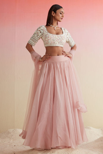 RM-DUSKY PINK EMBROIDERED NET BLOUSE NET SKIRT