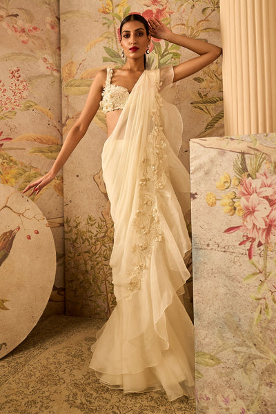 RM-Ivory Net Embroidered Blouse and Chiffon Draped Saree