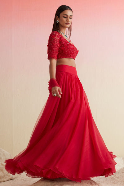 RM-RED EMBROIDERED NET BLOUSE PAIRED WITH PLAIN ORGANZA-SKIRT