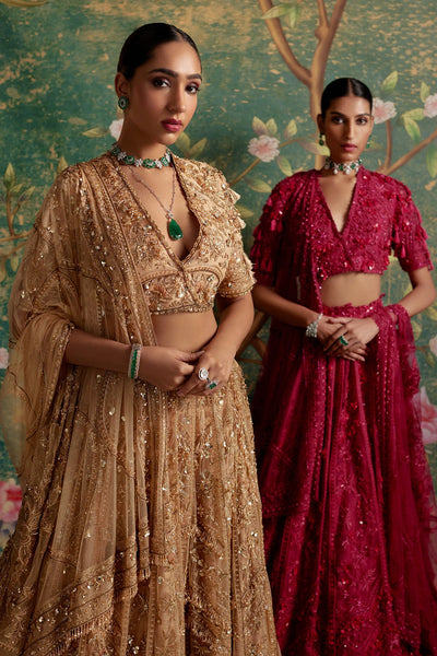 DREAM LEHENGA SET