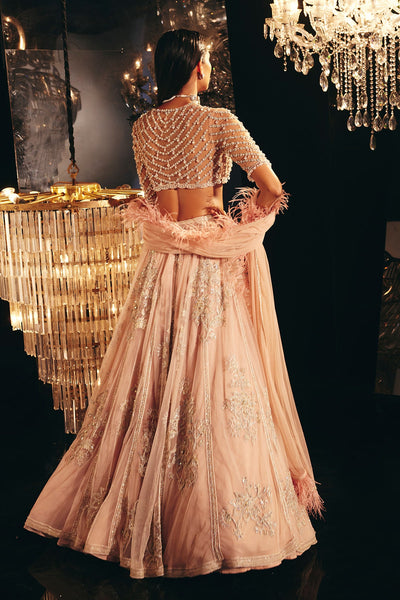 Ridhi-Mehra-Beige pink net embellished blouse and heavy embroidered net lehenga