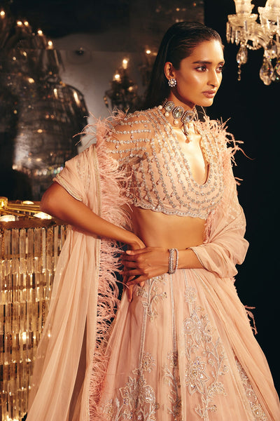 Ridhi-Mehra-Beige pink net embellished blouse and heavy embroidered net lehenga