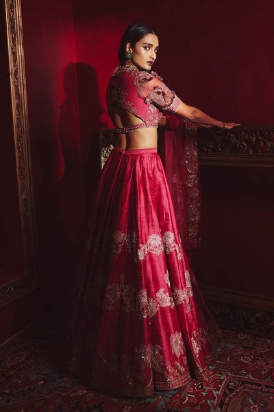 Ridhi-Mehra-Cherry red net embroidered-Lehenga