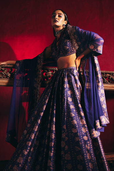 Ridhi-Mehra-Navy-printed-raw silk blouse with plain printed raw silk lehenga