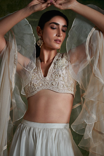 Ridhi-Mehra Embroidered net blouse with organza